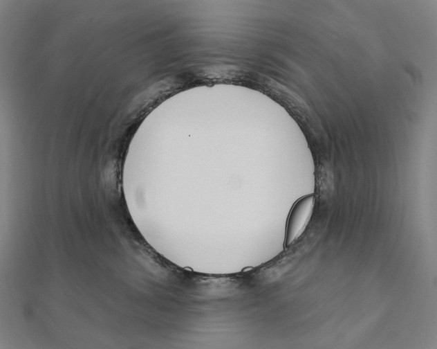 X0000111420428200908101059