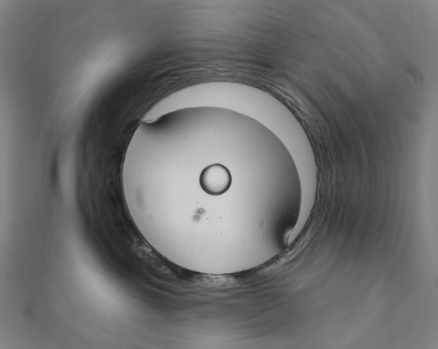 X0000111420429200908101059