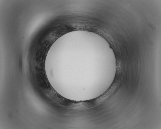 X0000111420430200908101059