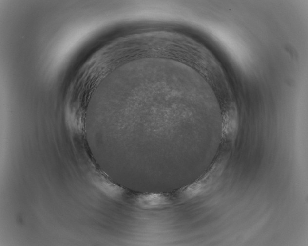 X0000111420431200908101059