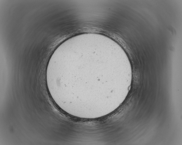 X0000111420433200908101059