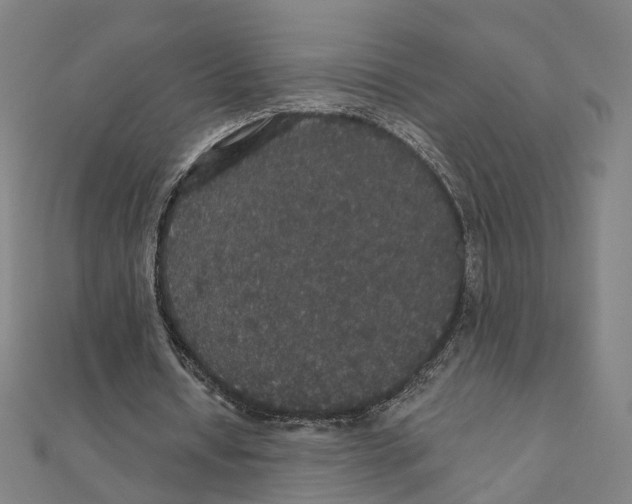 X0000111420434200908101059