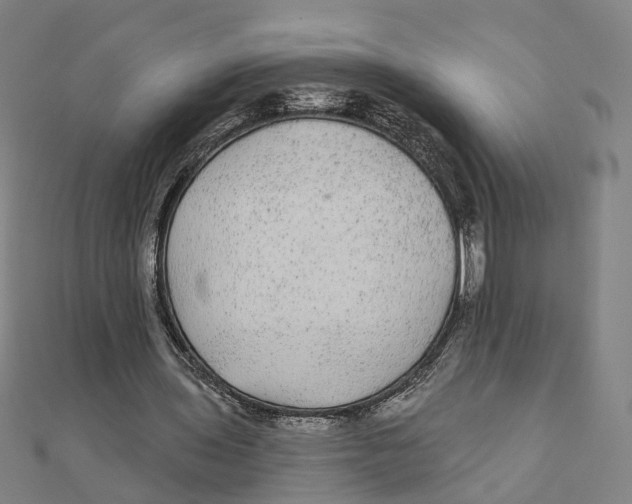 X0000111420435200908101059
