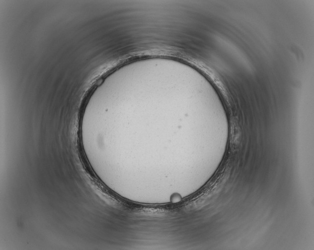 X0000111420437200908101059