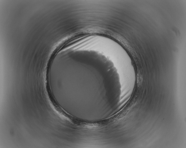 X0000111420438200908101059
