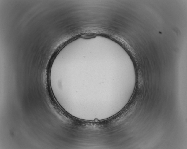 X0000111420439200908101059