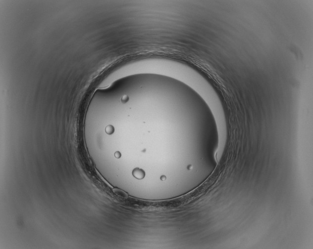 X0000111420444200908101059