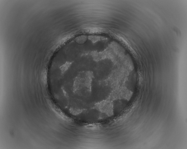 X0000111420447200908101059
