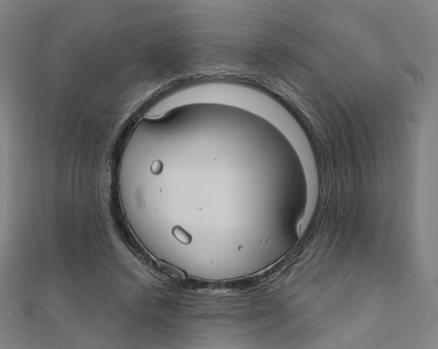 X0000111420448200908101059