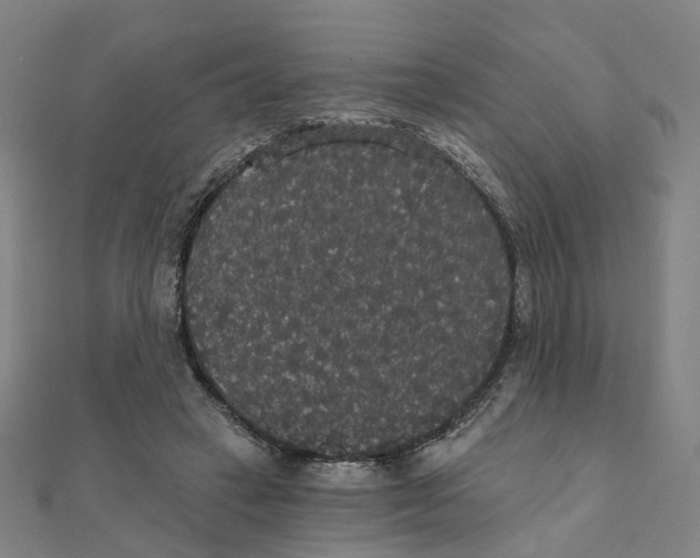 X0000111420449200908101059
