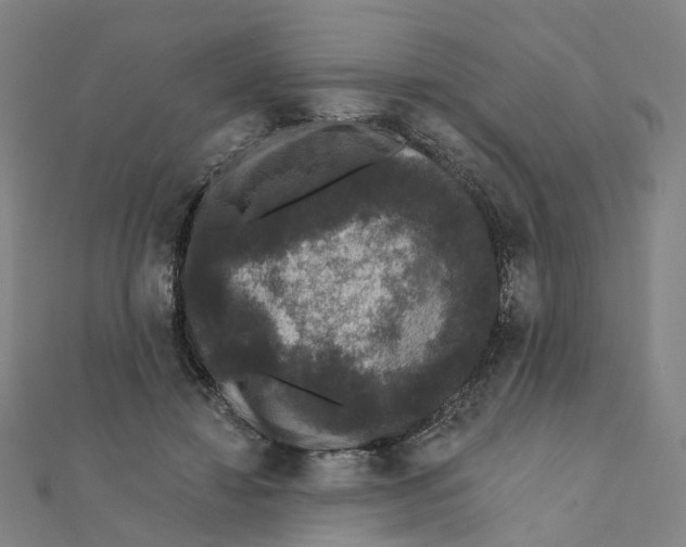 X0000111420452200908101059