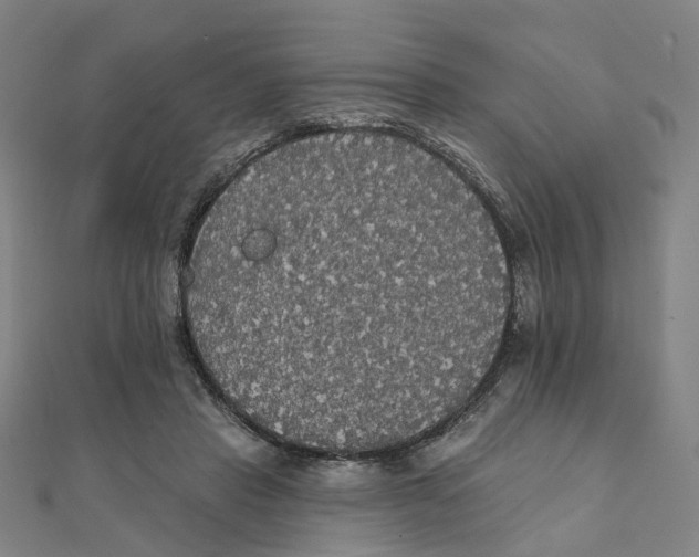 X0000111420453200908101059