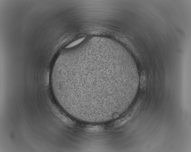 X0000111420454200908101059