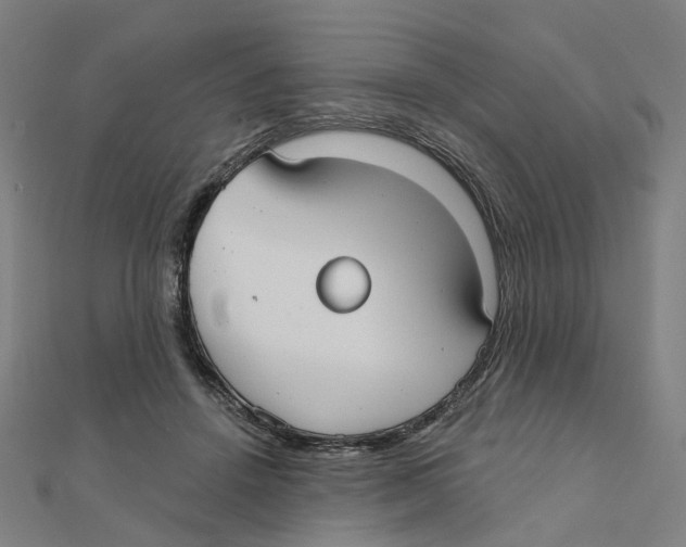 X0000111420456200908101059