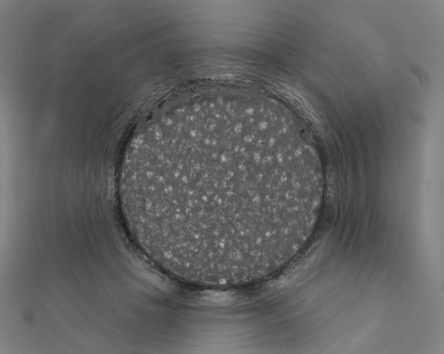 X0000111420457200908101059