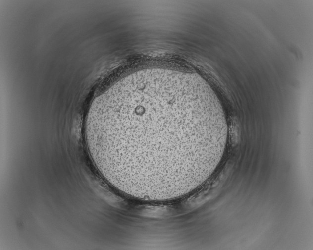 X0000111420458200908101059