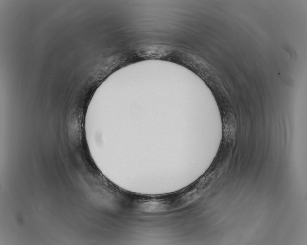X0000111420460200908101059