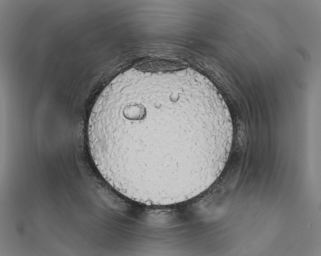 X0000111420461200908101059