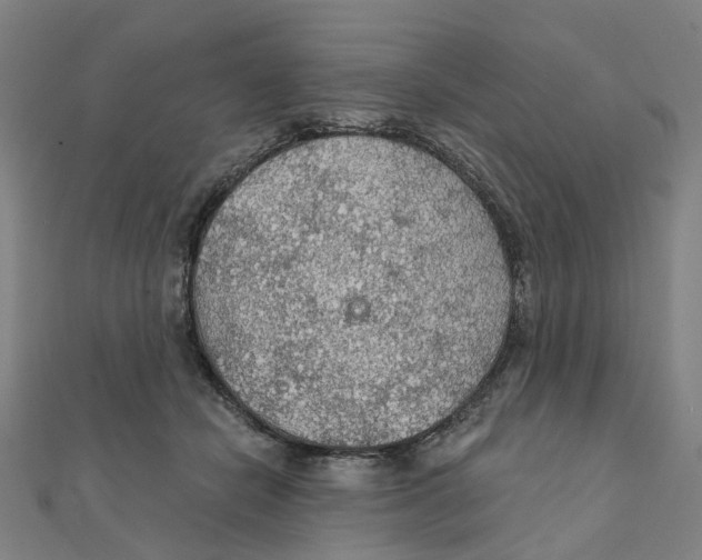 X0000111420462200908101059
