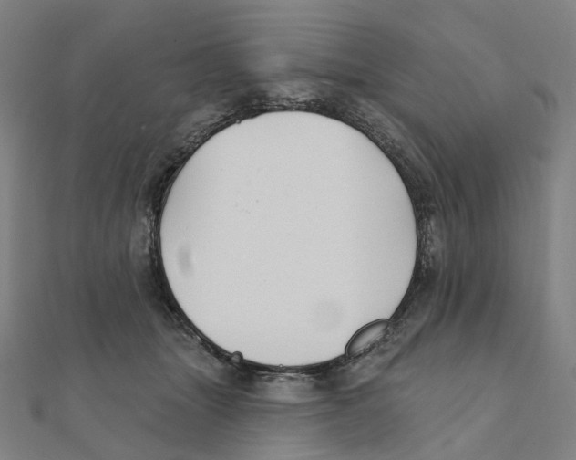 X0000111420463200908101059