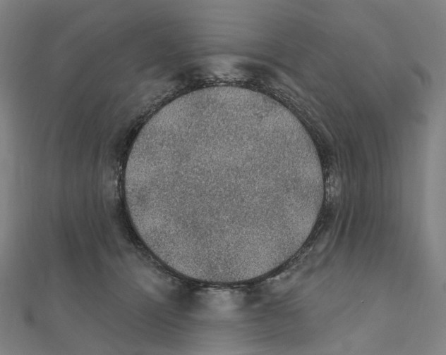 X0000111420464200908101059