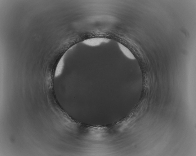 X0000111420465200908101059