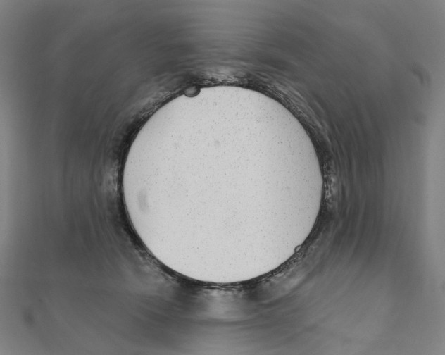 X0000111420466200908101059