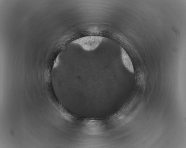 X0000111420467200908101059