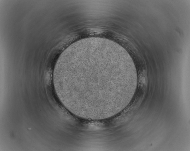 X0000111420468200908101059
