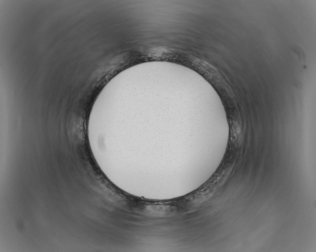 X0000111420470200908101059
