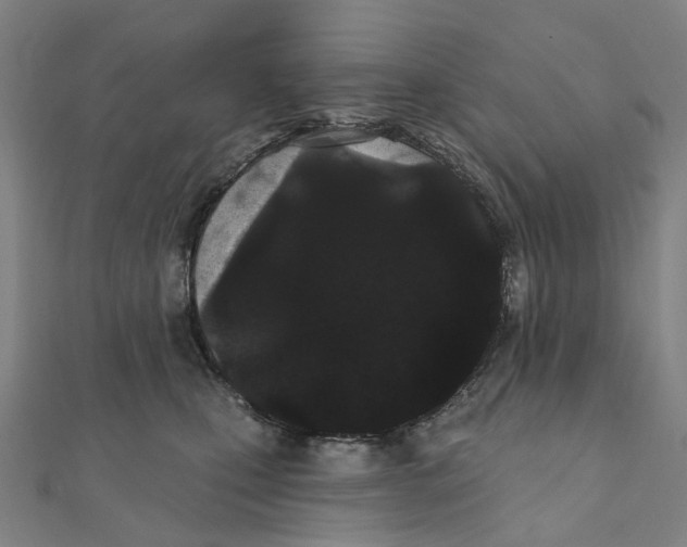 X0000111420471200908101059