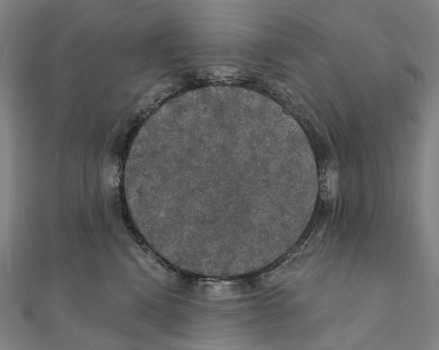 X0000111420472200908101059