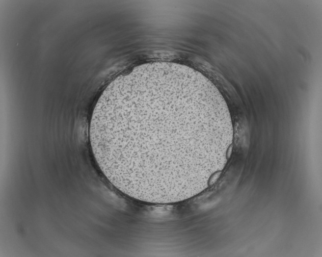 X0000111420474200908101059