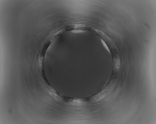 X0000111420475200908101059