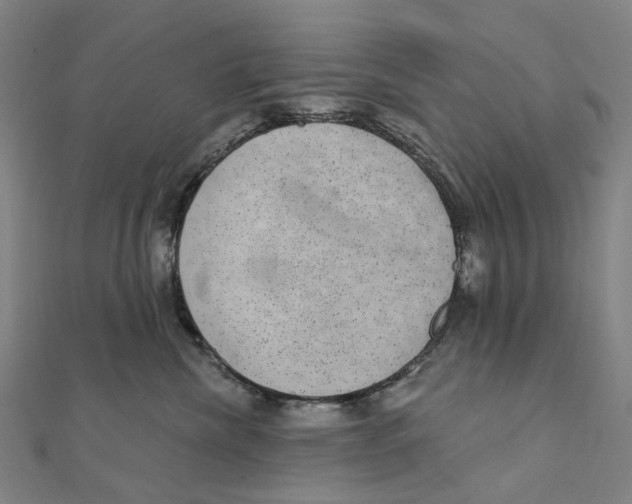 X0000111420476200908101059