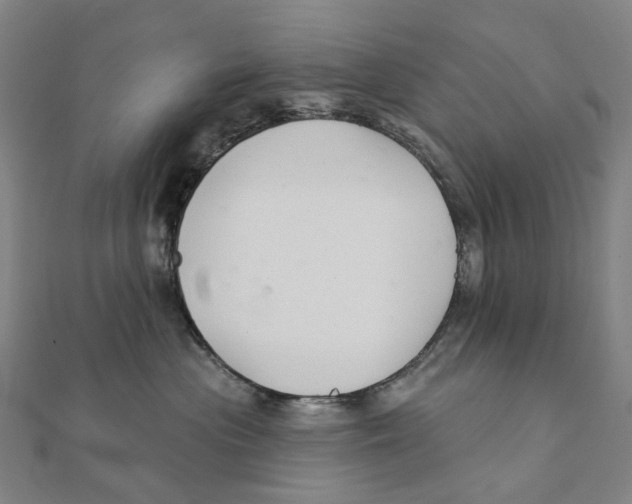 X0000111420477200908101059