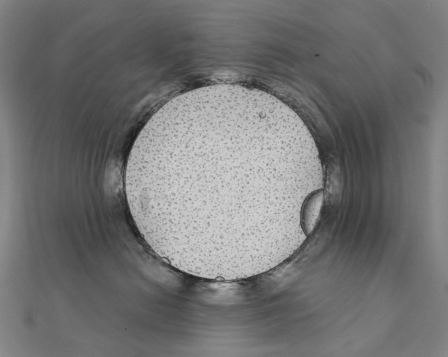 X0000111420478200908101059