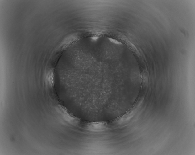 X0000111420479200908101059
