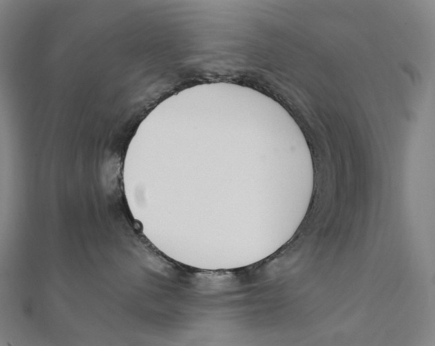 X0000111420480200908101059