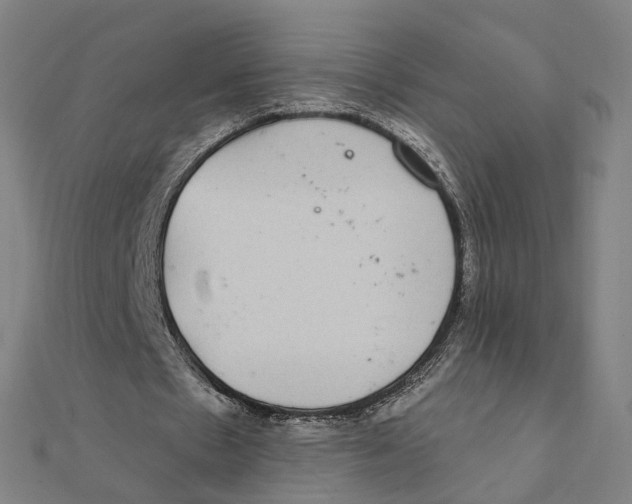 X0000111420481200908101059