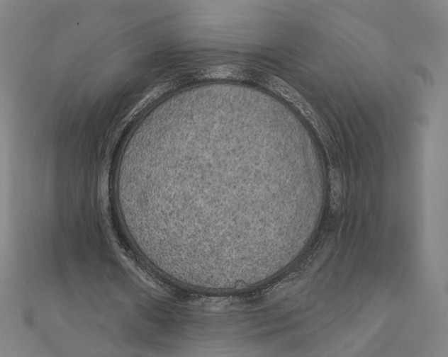 X0000111420482200908101059