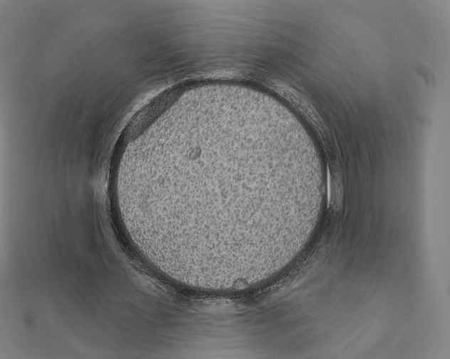 X0000111420483200908101059