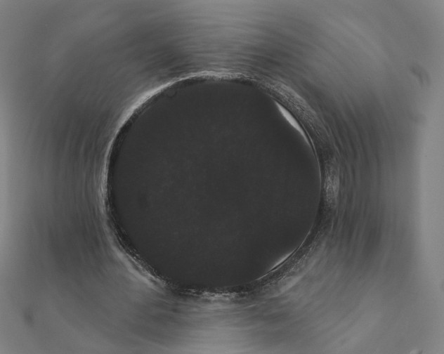 X0000111420484200908101059