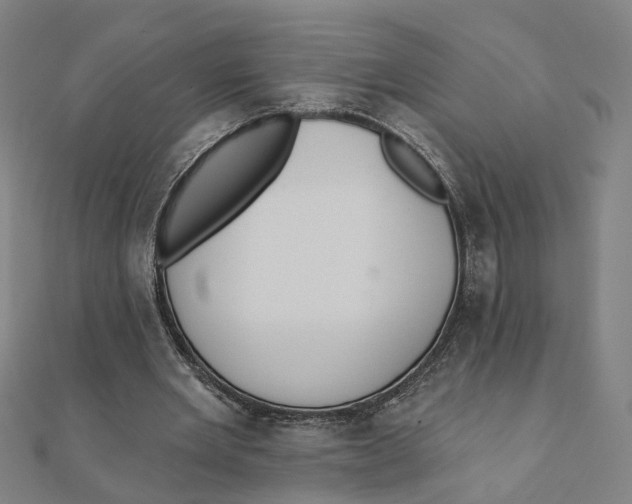 X0000111420485200908101059