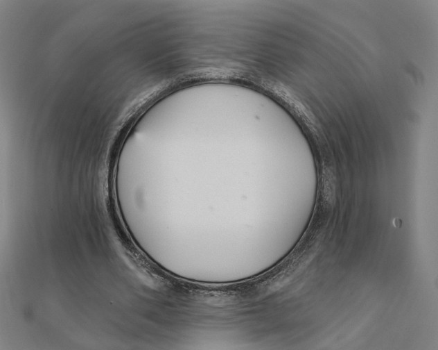 X0000111420486200908101059