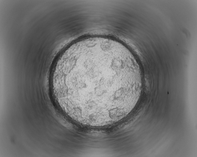 X0000111420487200908101059