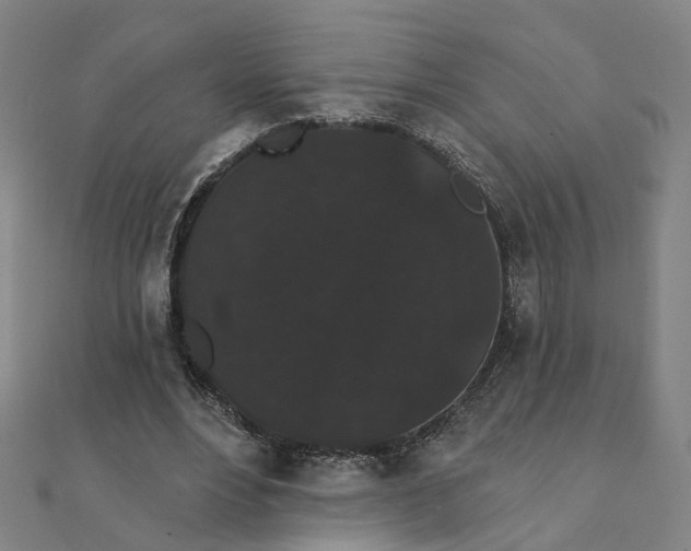 X0000111420488200908101059
