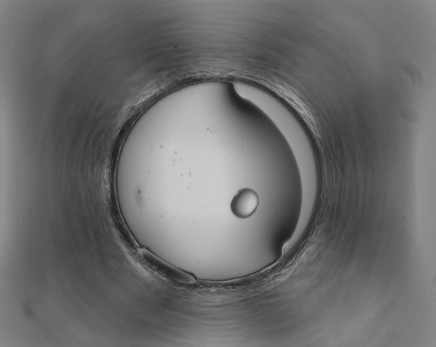 X0000111420489200908101059