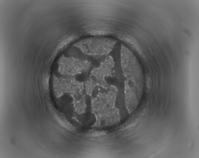 X0000111420491200908101059