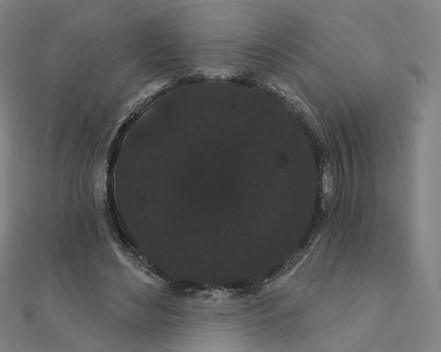 X0000111420492200908101059